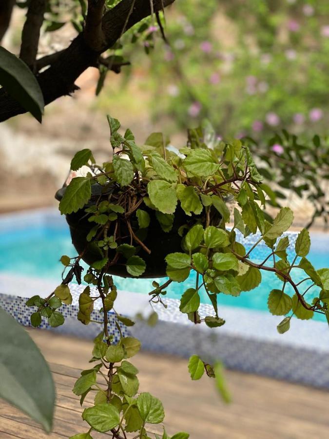 Hotel Boutique Hacienda Guadalupe San Miguel de Allende Zewnętrze zdjęcie