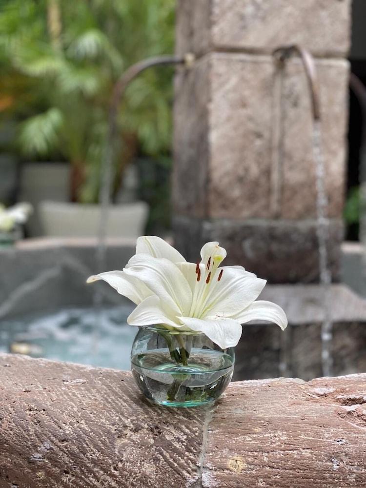 Hotel Boutique Hacienda Guadalupe San Miguel de Allende Zewnętrze zdjęcie